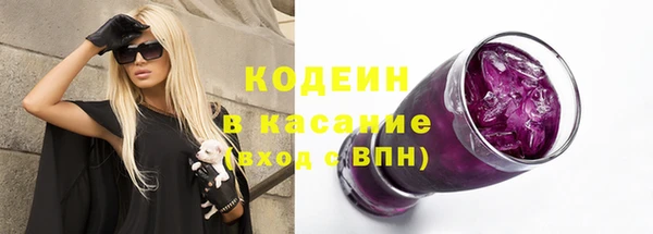 ПСИЛОЦИБИНОВЫЕ ГРИБЫ Арсеньев