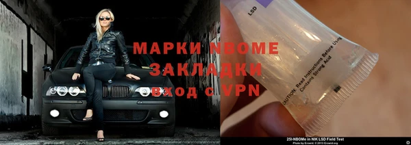 ПСИЛОЦИБИНОВЫЕ ГРИБЫ Арсеньев