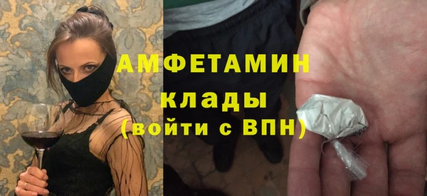 ПСИЛОЦИБИНОВЫЕ ГРИБЫ Арсеньев